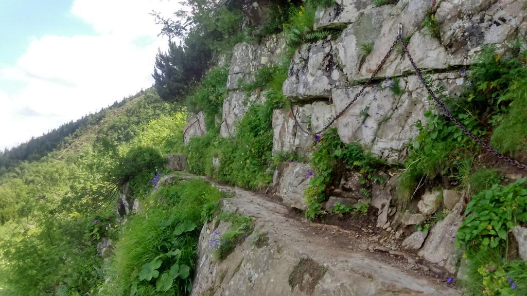 Agroturystyka Lesny Zakatek Stryszawa Exteriör bild