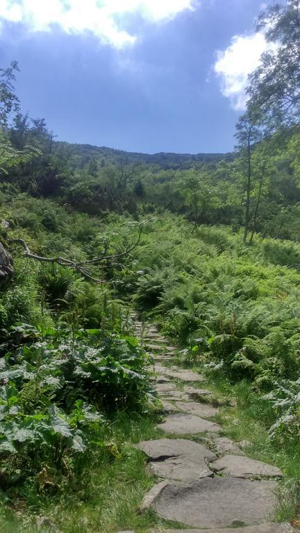 Agroturystyka Lesny Zakatek Stryszawa Exteriör bild