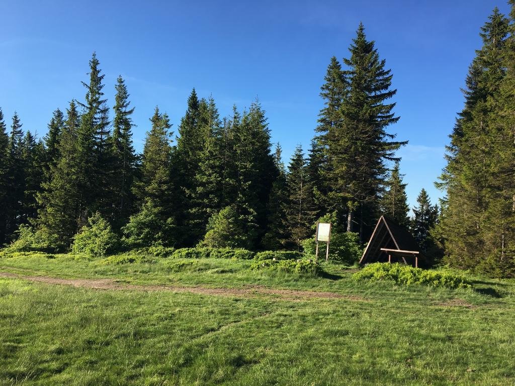 Agroturystyka Lesny Zakatek Stryszawa Exteriör bild