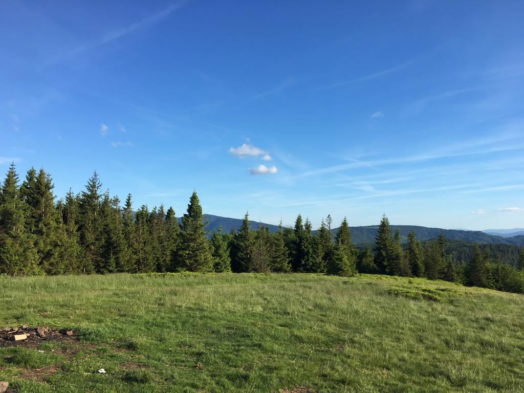 Agroturystyka Lesny Zakatek Stryszawa Exteriör bild